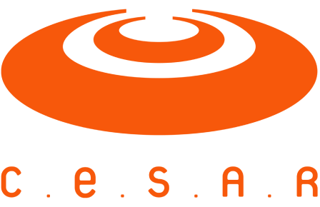 CESAR School